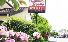 Cherry Tree Lodge Motel Christchurch